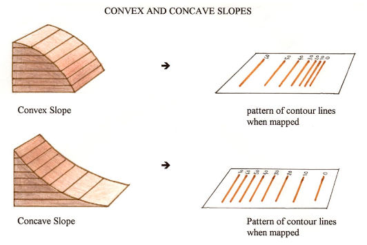 concave convex